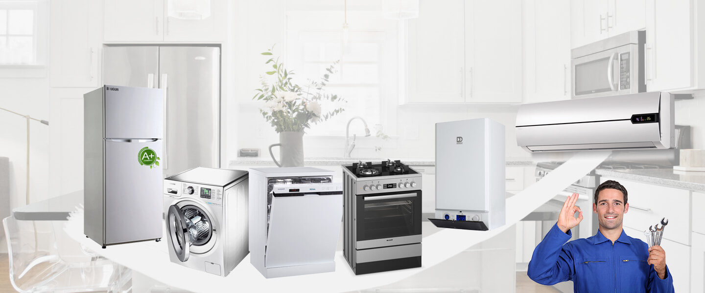 Bayraklı Gorenje Servisi
